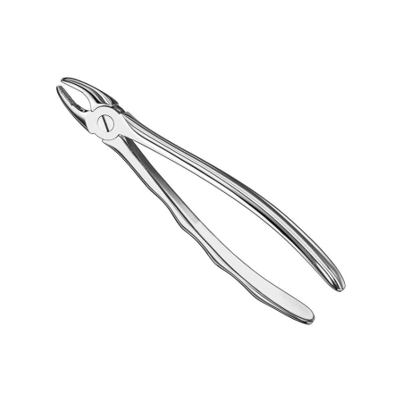 Extracting forceps, engl